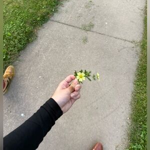 ARQ Mishas cherry pollen and black RESERVED!